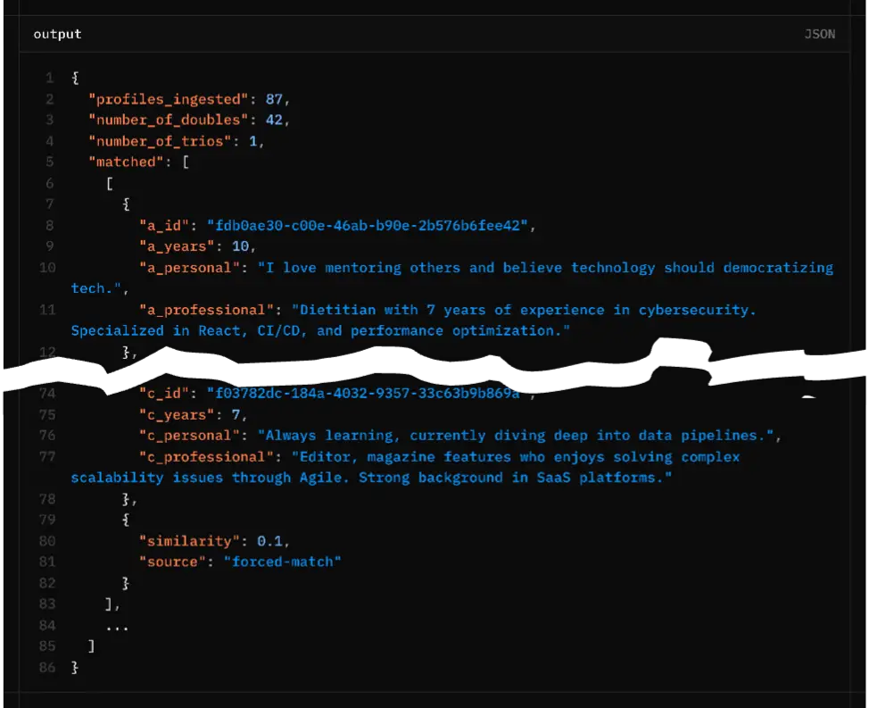 Screenshot showing sample output data from the ALX Connect matching algorithm.